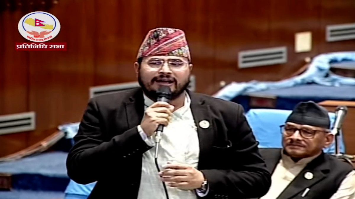 रङ्ग मिल्यो भन्दैमा बिरालो बाघ बन्दैनः प्रमुख सचेतक शाही