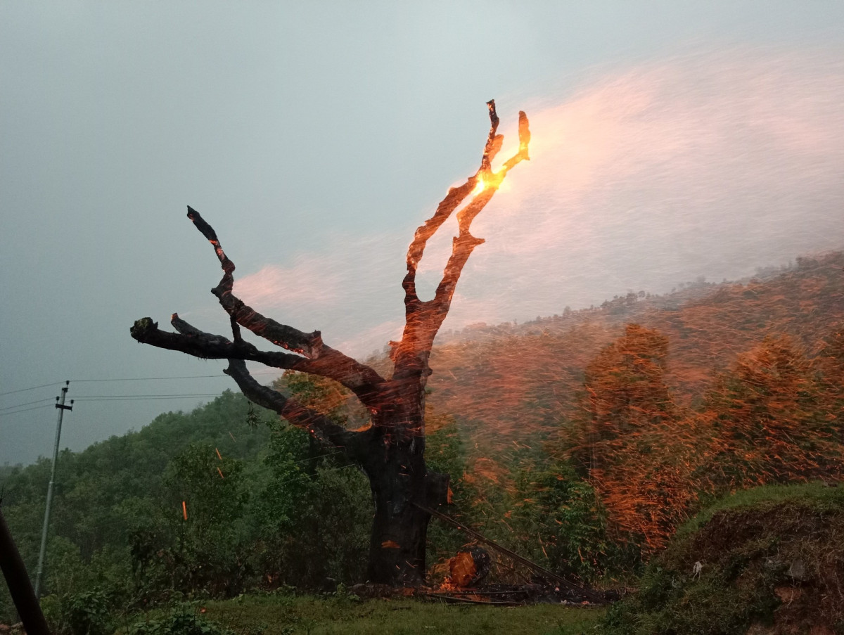 मण्डनदेउपुरमा  जब सुकेको रुख कटहरको बोटमा चट्याङ पर्यो.....(भिडियाेसहित)