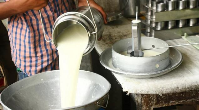 ‘चितवन मिल्क उद्योग’ले प्रशोधनका लागि दूध नपाएपछि कम्पनी बन्द