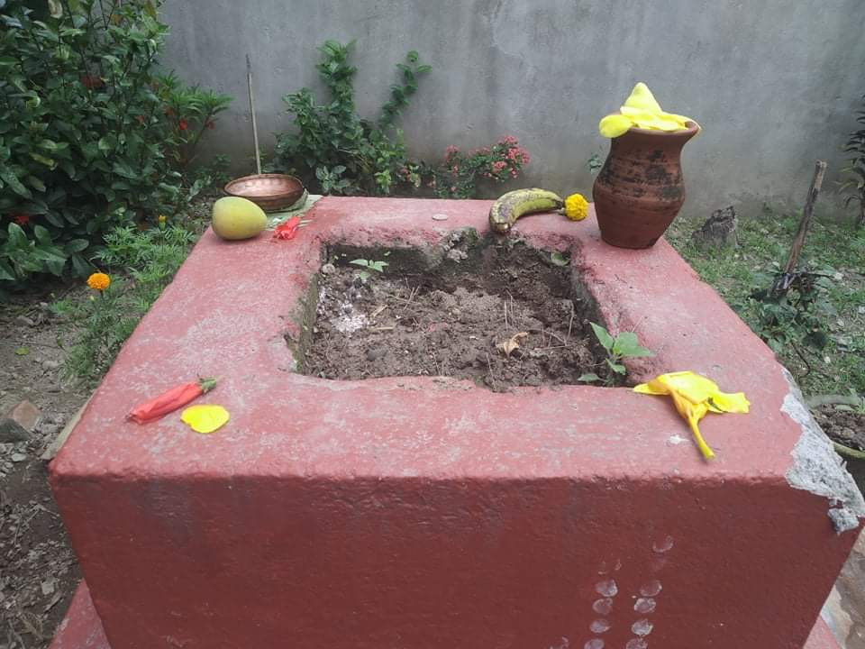 आज ज्येष्ठ शुक्ल एकादशी: घरका मठमा तुलसीको दल राखिँदै