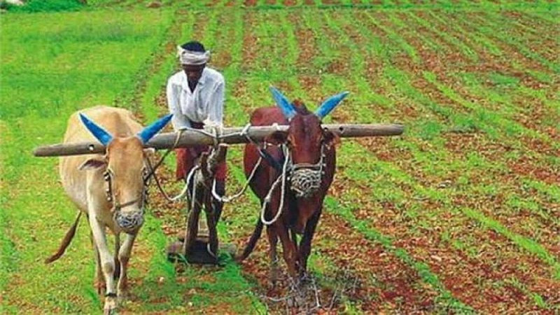 आज १३ औँ राष्ट्रिय कृषक दिवस मनाइँदै, किसानहरुकाे अवस्था भने दयनीय बन्दै