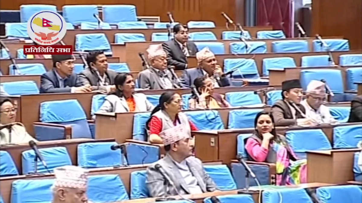 संघिय निजामति विधेयकमाथि छलफल, बहुमतले पारित