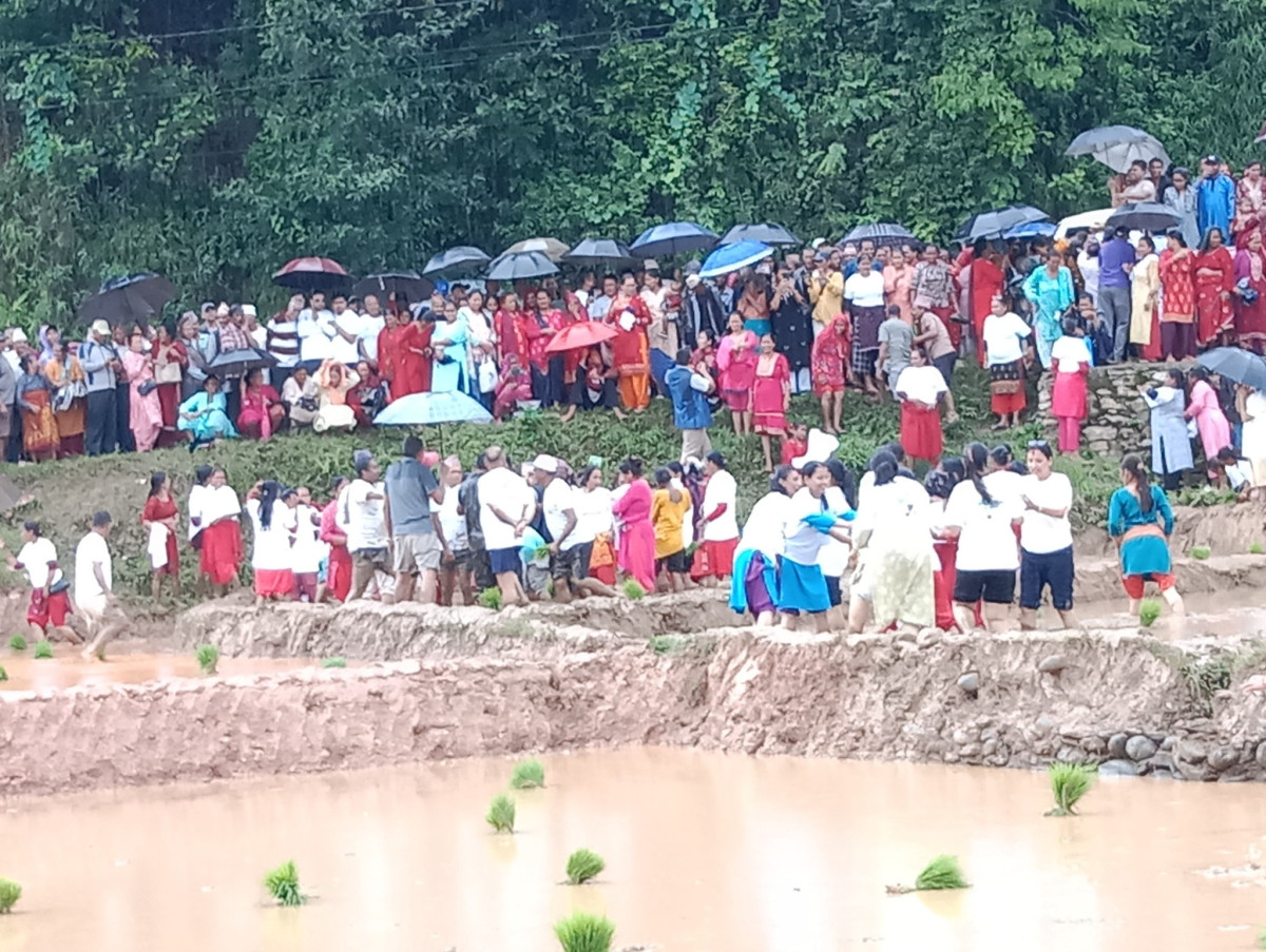 काभ्रेकाे मण्डनदेउपुर र पाँचखालमा मनाइयाे २२औँ राष्ट्रिय धान दिवस (भिडियाे र फाेटाेफिचर)