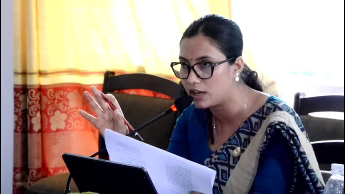 'बैंकर र व्यवसायी छुट्याउने भए तीन वर्ष अनिवार्य कुलिङ पिरियड राखौं'