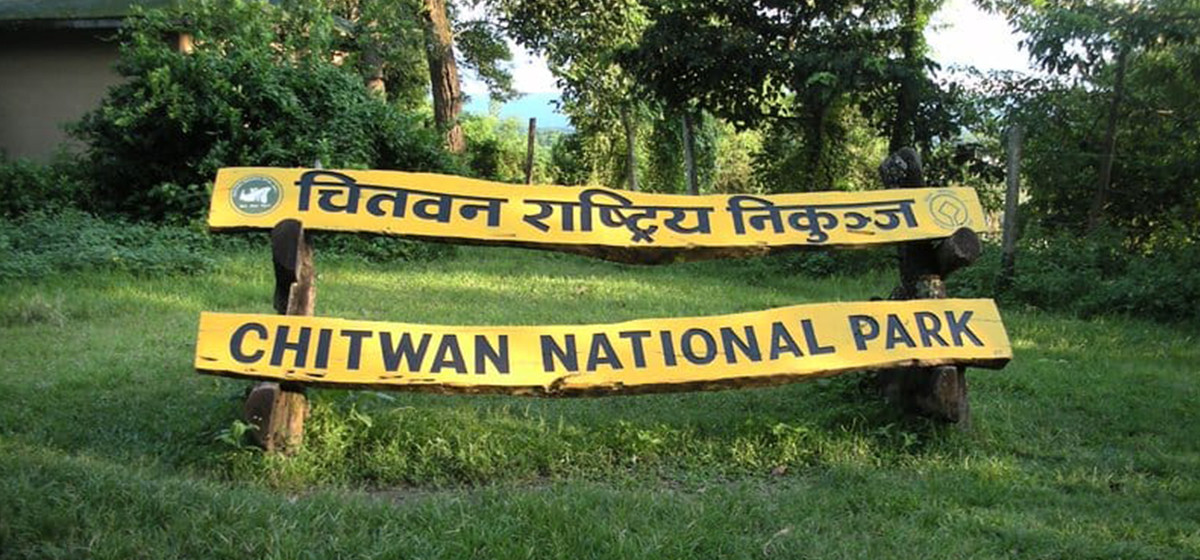 चितवन राष्ट्रिय निकुञ्जमा वन्यजन्तुको आक्रमणबाट ११ जनाको मृत्यु, ४१ जना घाइते