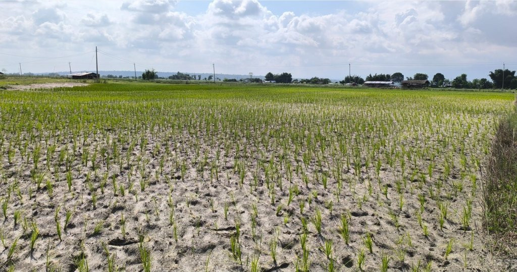 सुक्खाग्रस्त सङ्कटलाई सम्बोधन गर्ने कार्ययोजना कार्यान्वयनमा