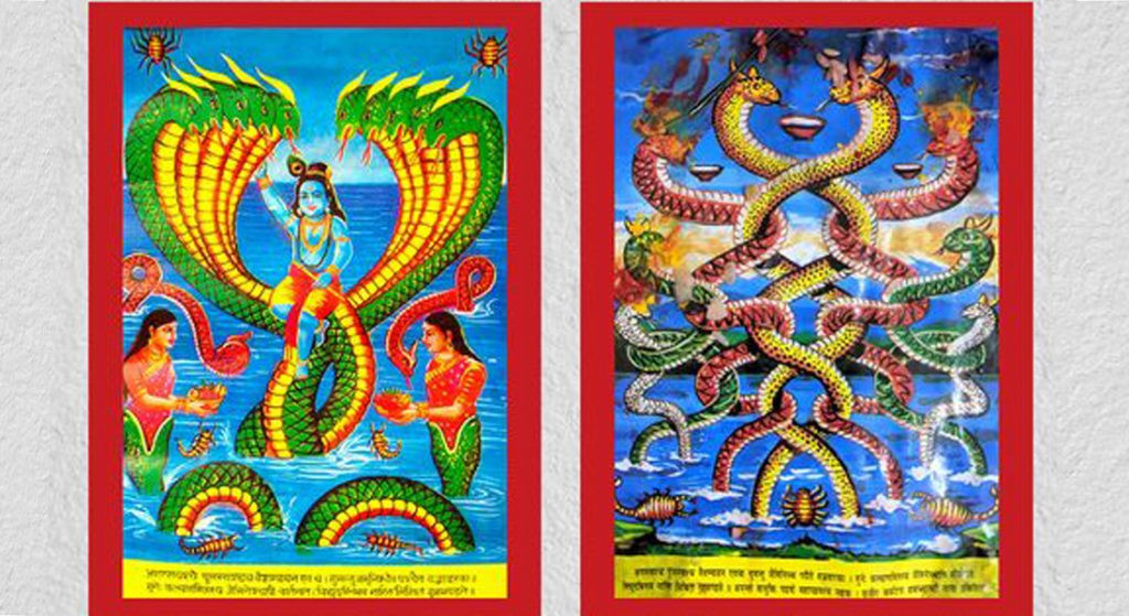 आज नागपञ्चमी पर्व, नागको पूजाआराधना गरी मनाइँदै