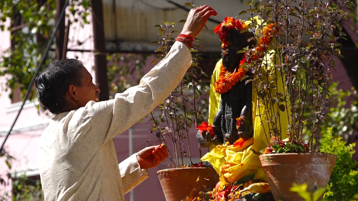 नेपालमा आयुर्वेदिक चिकित्सा फस्टाउँदो क्रममा छ: आयुर्वेद डा. साह