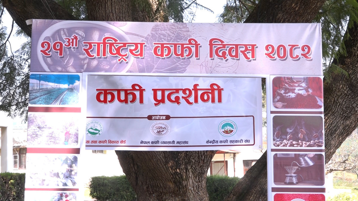 २८ प्रतिशतले कफी उत्पादन वृद्धिः मागअनुसार अझै कमी