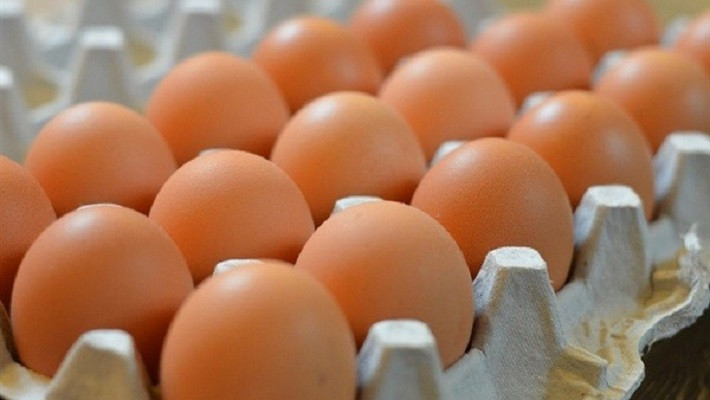 अण्डाको नयाँ मूल्य आजदेखि लागू, किसानको लागत उठ्ने विश्वास