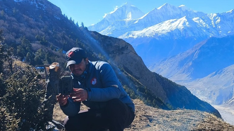 मुस्ताङमा हिउँ चितुवाको संख्या पत्ता लगाउन अध्ययन