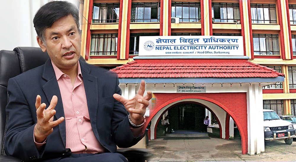 नेपाल विद्युत प्राधिकरणको कार्यकारी निर्देशकमा शाक्यको पुनर्बहाली