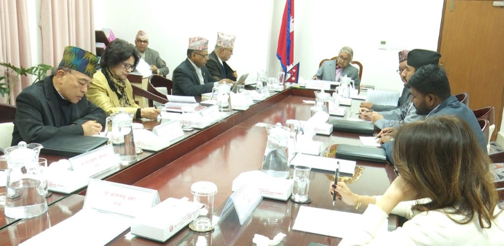 एक महासेनानी सहायक रथीमा बढुवा, मन्त्रिपरिषद्का विभिन्न निर्णय सार्वजनिक