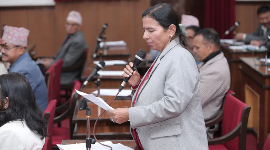 राष्ट्रिय झन्डाको दुरुपयोग रोक्न कानुनी कारबाहीको माग