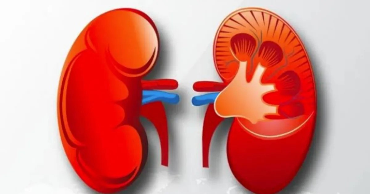 विश्व मिर्गौला दिवस आज, मिर्गौला स्वास्थ्यबारे जनचेतना कार्यक्रम