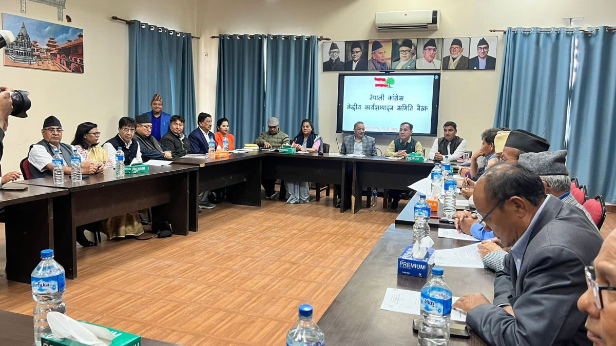 कांग्रेसले टुंग्यायो २० जना समानुपातिक सांसद