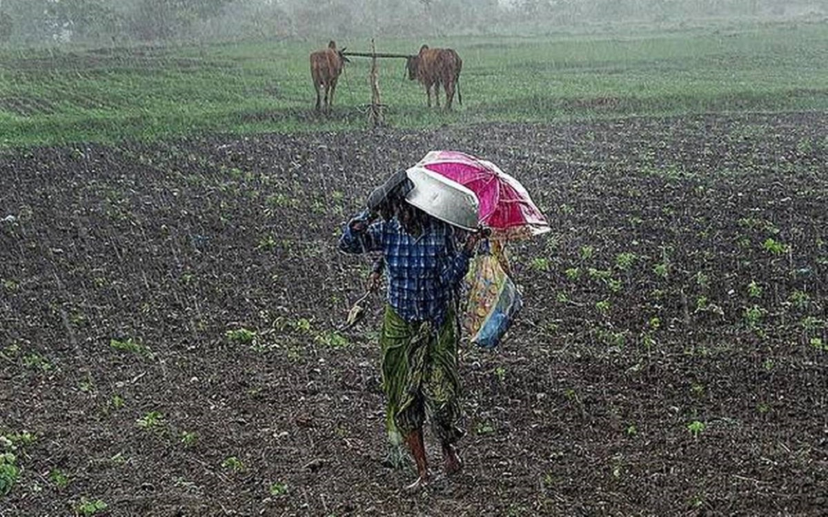 हिउँदे वर्षाले भोजपुरका किसानमा नयाँ आशा: खडेरीपछि खेतमा फर्कियो हरियाली