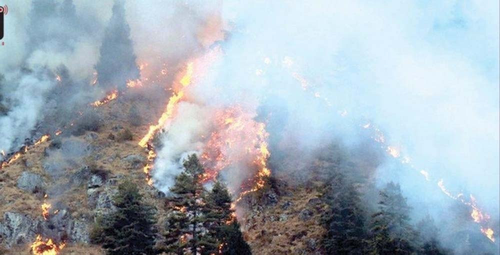 वन डढेलो रोक्न नवलपरासी पूर्वमा सचेतना सप्ताह सुरु