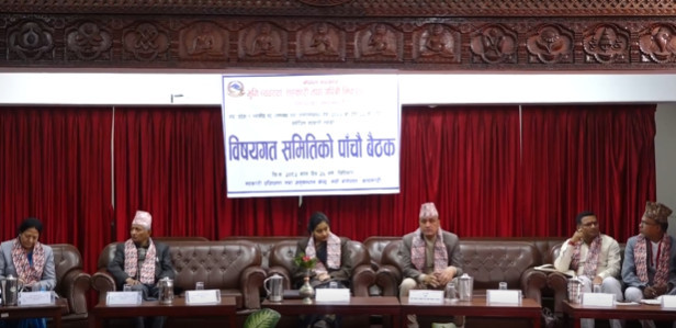 सहकारी पीडितको बचत फिर्ता गर्न तीन तहका सरकारलाई कोष बनाउन सुझाव