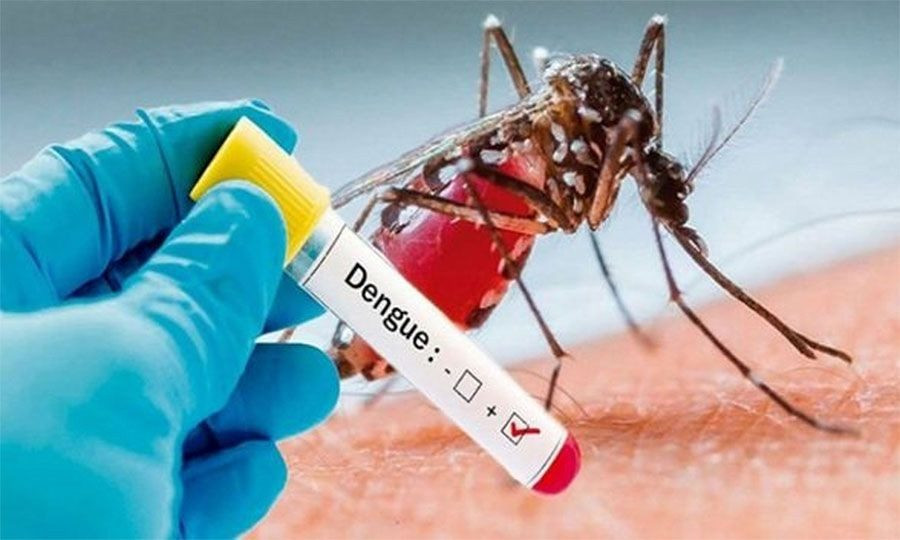 पानी पर्न थालेपछि डेङ्गी सङ्क्रमणको जोखिम बढ्ने
