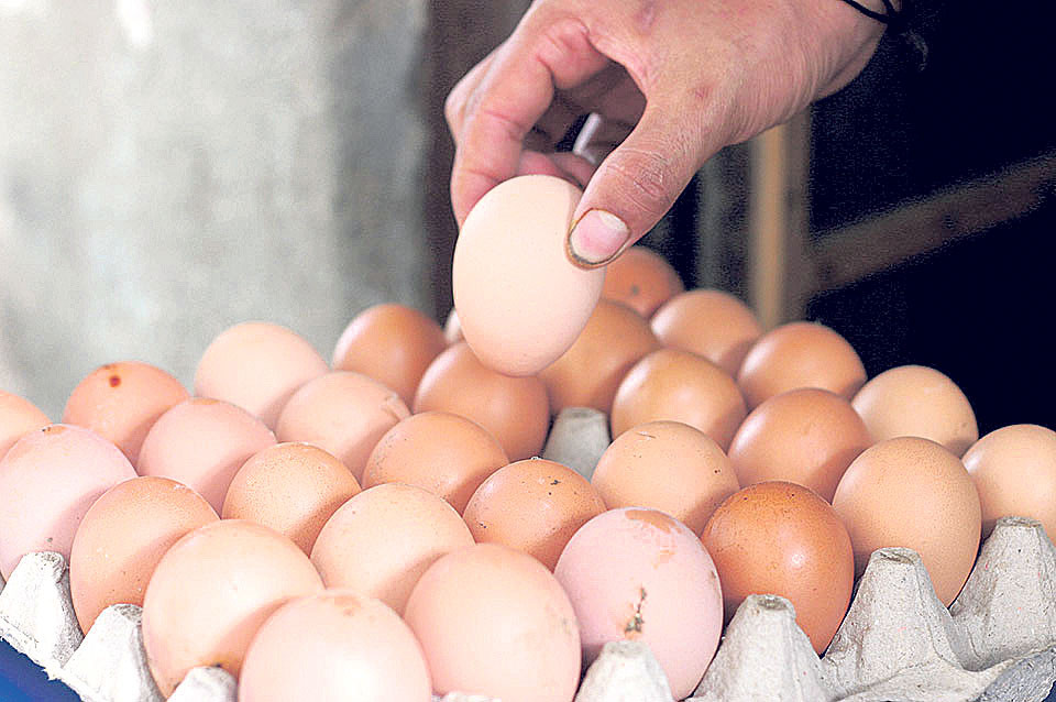माग बढेसँगै अण्डाको मूल्य बढ्यो