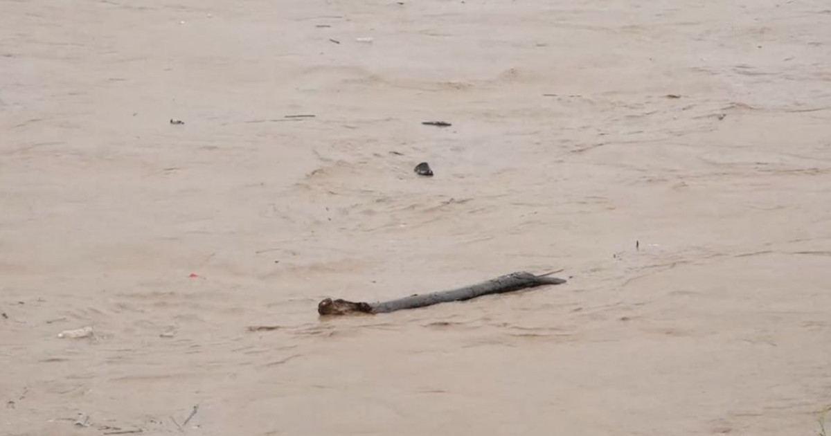 काठमाडाैं उपत्यकासहित देशका २८ जिल्ला आज आकस्मिक बाढीको मध्यम जोखिममा
