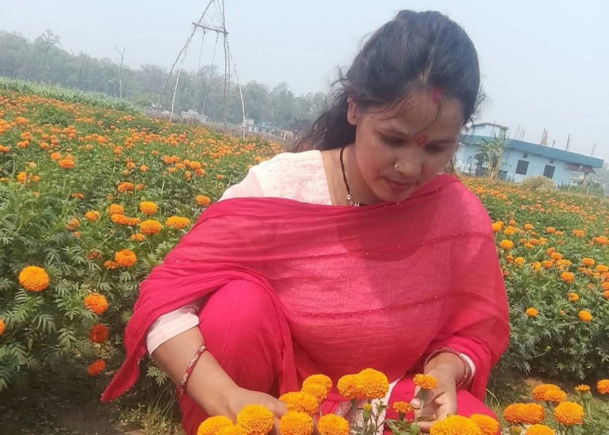 फूलखेतीबाट आत्मनिर्भरसँगै आम्दानी गर्दै धनगढीकी सुशीला