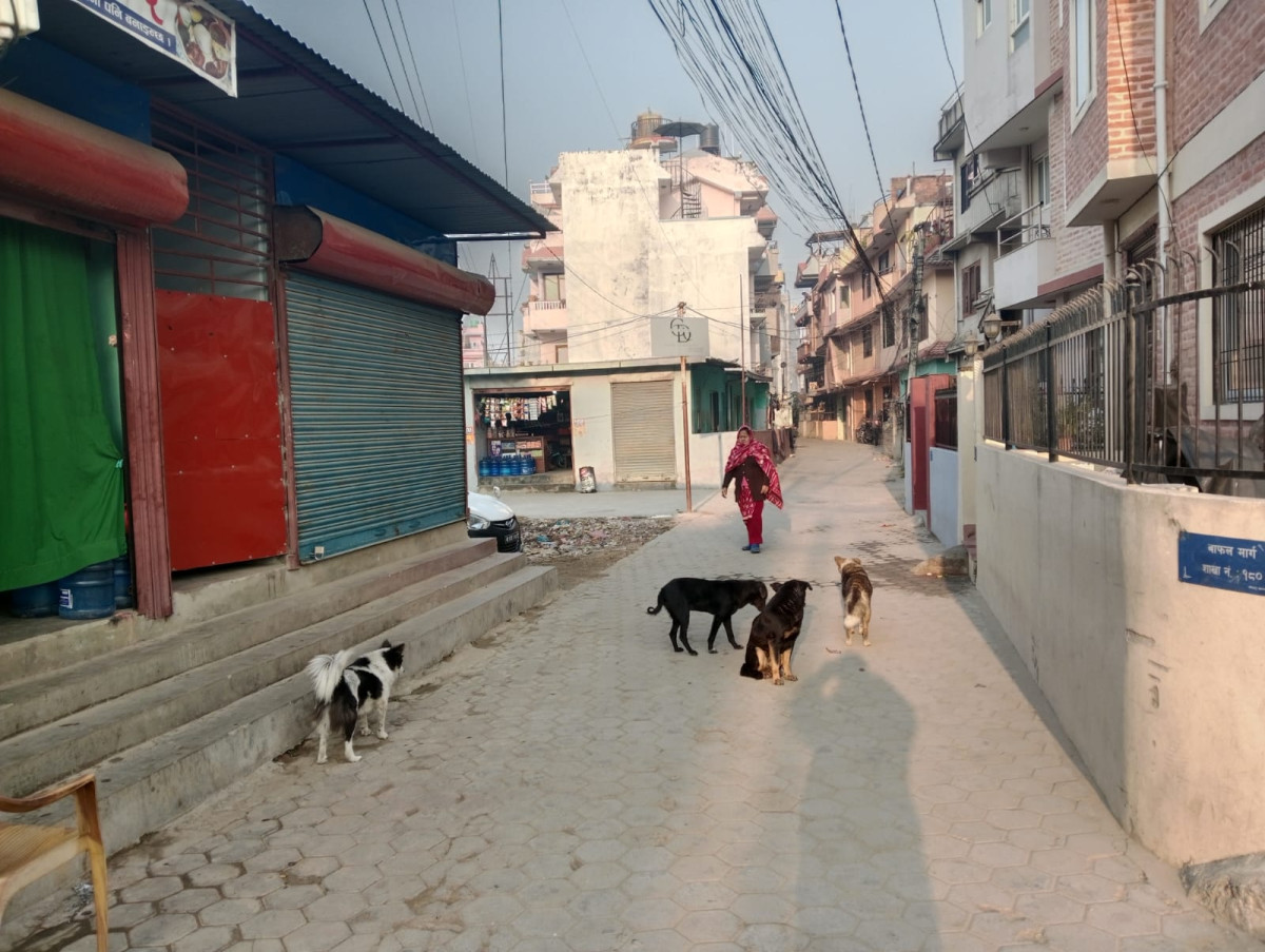 सन् २०३० सम्म रेबिजबाट हुने मानव मृत्यु शून्यमा झार्ने सरकारी रणनीति