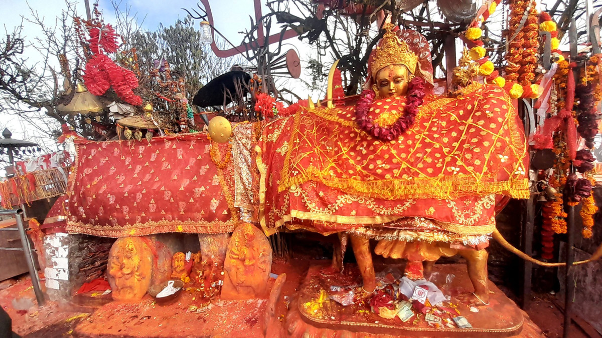 पाथीभराबाट तीन महिनामा ३३ लाख बढी सङ्कलन