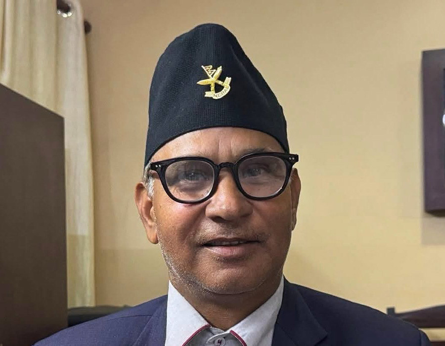 आनीको नियुक्तिविरुद्ध आन्दोलन गर्ने अभियानका दुई अगुवा पक्राउ